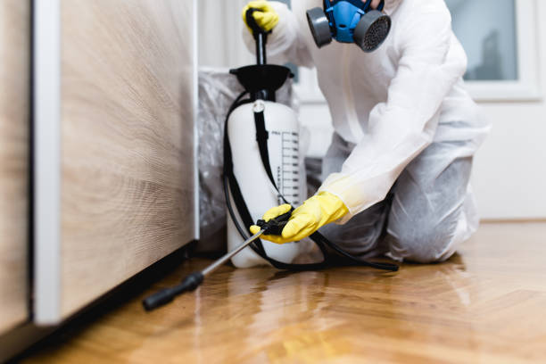 Best Wasp Removal Services  in Fruit Cove, FL