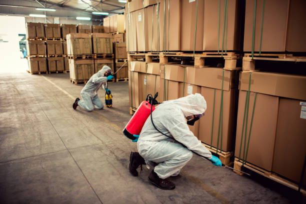 Best Cockroach Control Services  in Fruit Cove, FL