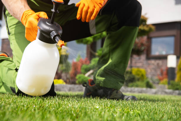 Best Residential Pest Control  in Fruit Cove, FL
