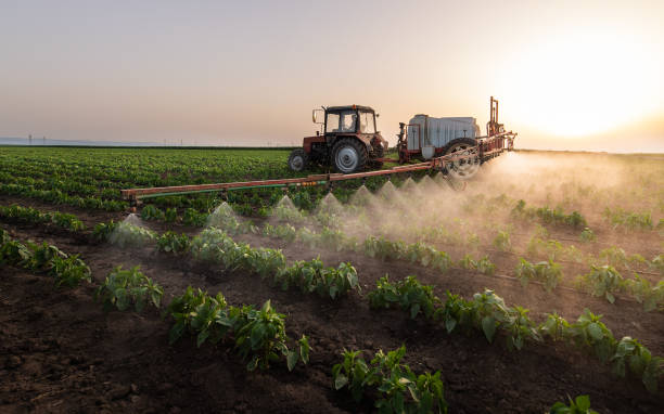 Best Cockroach Control Services  in Fruit Cove, FL