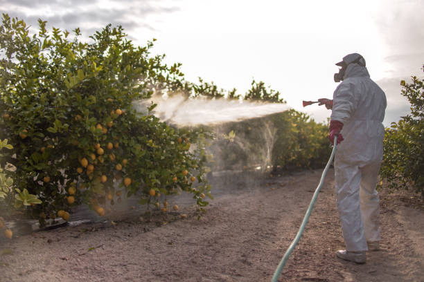 Best Affordable Pest Control Services  in Fruit Cove, FL