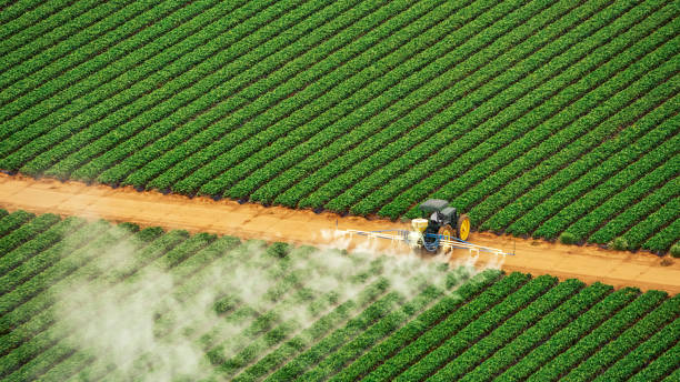 Best Termite Control Services  in Fruit Cove, FL