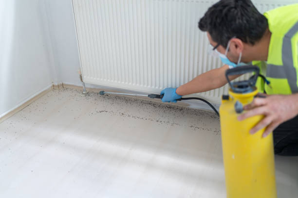 Best Exterminator Services  in Fruit Cove, FL
