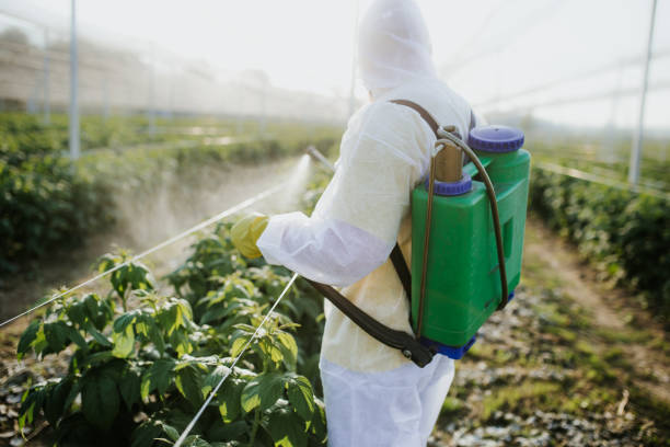 Best Affordable Pest Control Services  in Fruit Cove, FL